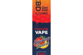 CBD Vape Disposable Strawberry delivers a sweet, fruity strawberry flavor with the soothing benefits of CBD, offering a convenient and enjoyable way to relax on the go.