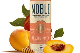 Packed with 1000mg of Lion's Mane and 500mg of Reishi mushroom, this elixir is designed to boost your brainpower, promote mental clarity, while also helping your body manage stress.
